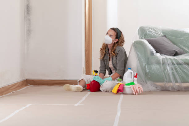 Reliable Mold Inspection And Testing contractor in Asheboro, NC by 24 Hour Mold Removal