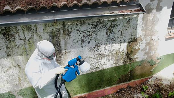 Top rated local Mold Inspection And Testing specialists in Asheboro, NC